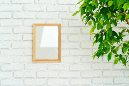 House plant leaves against white brick wall with copy spaceの写真素材