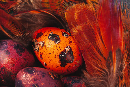Easter quail eggs in feathers on dark background