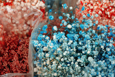 Close up of dried flower plant bunch.の写真素材