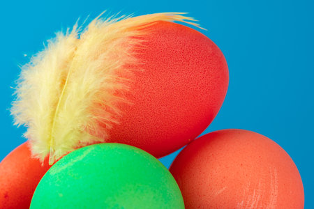 Colored eggs with yellow bird feather close upの写真素材