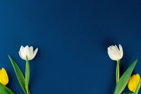 Fresh flower on classic blue background, copy spaceの写真素材