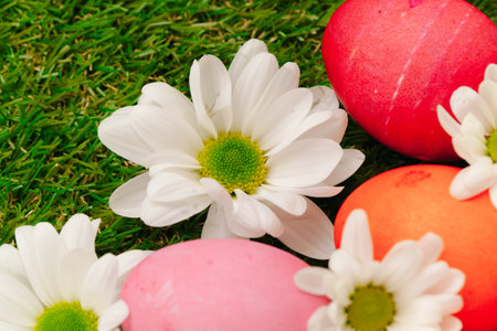 Colored Easter eggs on grass decorated with flowersの写真素材