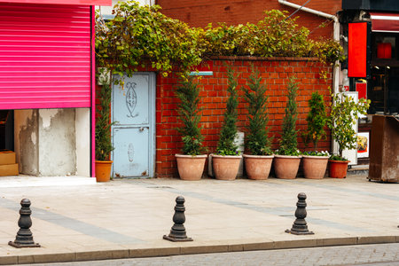 Street vases with trees in the street of Istanbulの写真素材