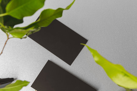 Flat lay craft paper card mockup with leavesの写真素材