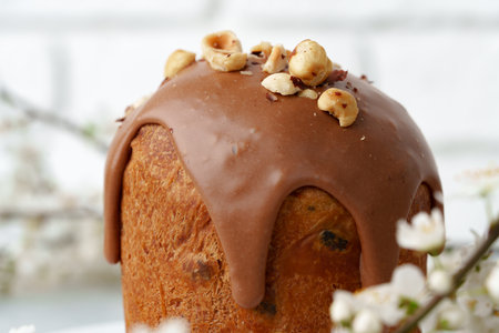 Ester cake with chocolate topping and nuts on gray backgroundの写真素材