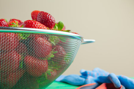 Fresh ripe red strawberries on gardens tableの写真素材