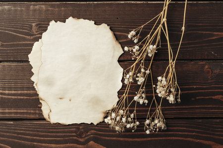 Blank sheet of paper with flower branch on wooden background