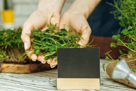Micro green and black price tag with copy space