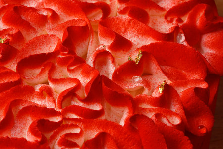 Close up of red sponge cake with cream on topの写真素材