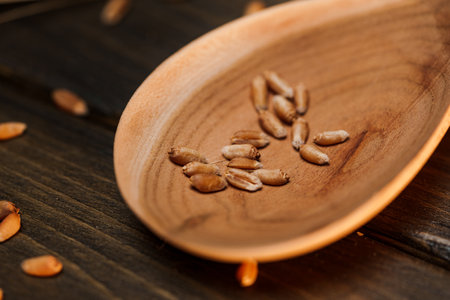 Several grains of cereals, natural dry grainの写真素材