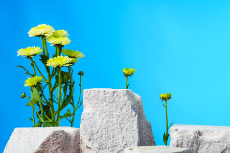 Pieces of gray limestone on blue background with flowersの写真素材