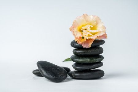 Spa stones and flowers on the white backgroundの写真素材
