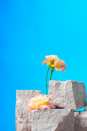 Pieces of gray limestone on blue background with flowersの写真素材