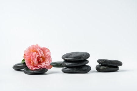 Spa stones and flowers on the white backgroundの写真素材