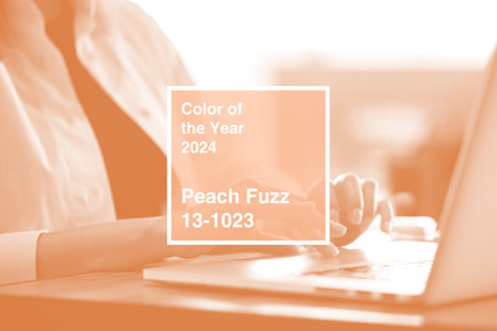 Close up of woman hands typing on laptop in cafe photo toned in peach fuzz colorの写真素材