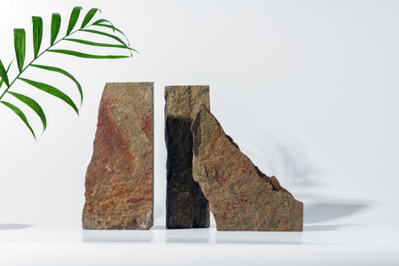 Granite stone with branch green leaf on studio background