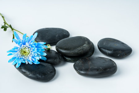 Spa stones and flowers on the white backgroundの写真素材