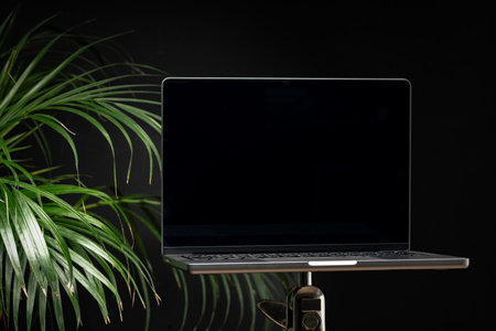 Laptop with green leafy potted plant on black backgroundの写真素材