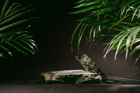 Granite stone with branch green leaf on dark gray backgroundの写真素材