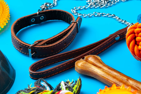 Treats and toys for dogs on blue background close upの写真素材