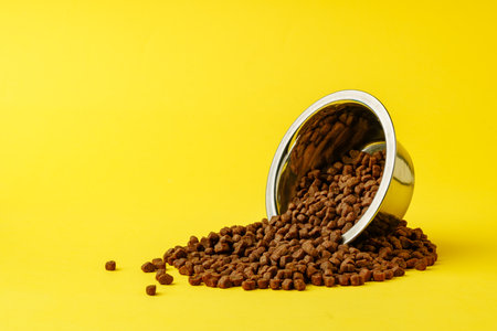 Cat food on yellow background studio shotの写真素材