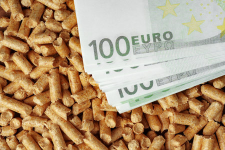Euro banknotes and wood pellets close up