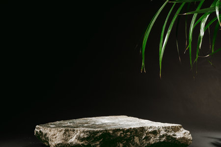 Granite stone with branch green leaf on dark gray backgroundの写真素材