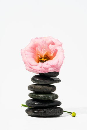 Stacked black spa stones with flowers on white backgroundの写真素材