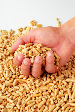 Human hands holding wooden pellets biofuel studio shot