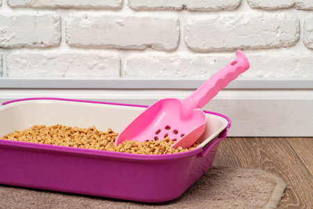 Plastic cat litter box in the bathroomの写真素材