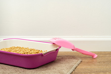 Plastic cat litter box in the bathroomの写真素材