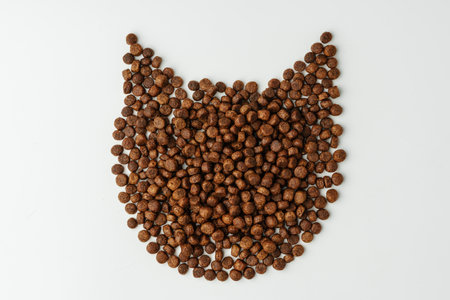 Dry cat food laid out in the shape of a cats head on white backgroundの写真素材