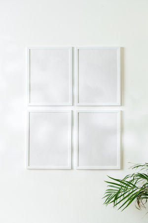 Blank white frames and houseplant against white wallの写真素材