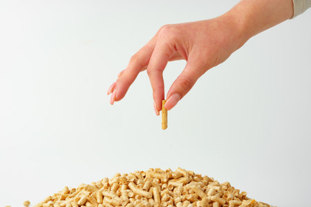 Human hands holding wooden pellets biofuel studio shotの写真素材
