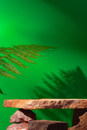 Stone display for product against green backgroundの写真素材