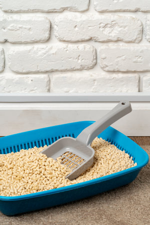 Plastic cat litter box in the bathroomの写真素材