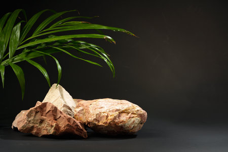 Granite stone with branch green leaf on dark gray backgroundの写真素材
