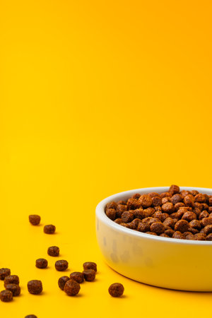 Bowl with dry pet food on yellow background studio shotの写真素材