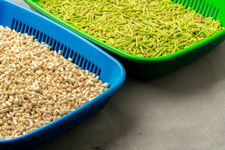 Pet litter tray with wooden filler on gray backgroundの写真素材