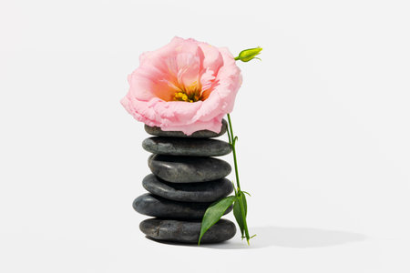 Stacked black spa stones with flowers on white backgroundの写真素材