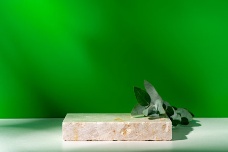 Mock up stone podium against green backgroundの写真素材
