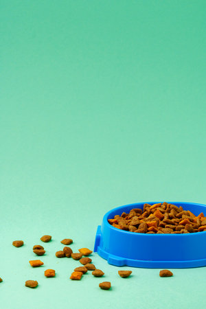 Dry pet food in bowl on color backgroundの写真素材