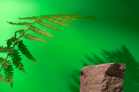 Stone display for product against green backgroundの写真素材