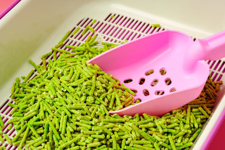 Pet litter box with bio filler on pink backgroundの写真素材