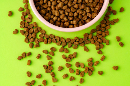 Pet bowl with dry food on green background studio shot