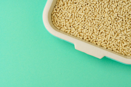 Pet litter box with bio filler on green backgroundの写真素材