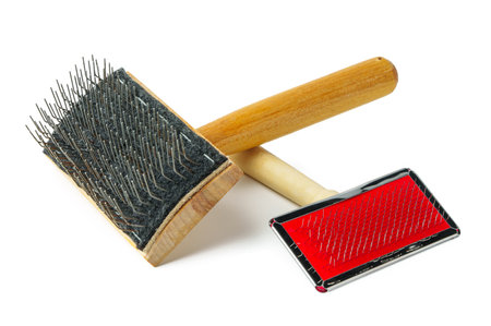 Two pet brush isolated on white background
