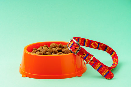 Dry pet food in bowl on color backgroundの写真素材