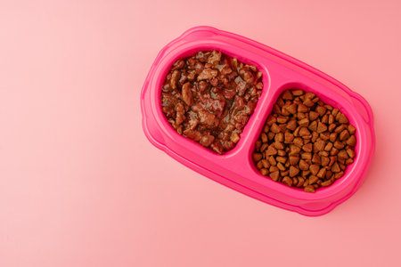 Dry pet food in bowl on color backgroundの写真素材