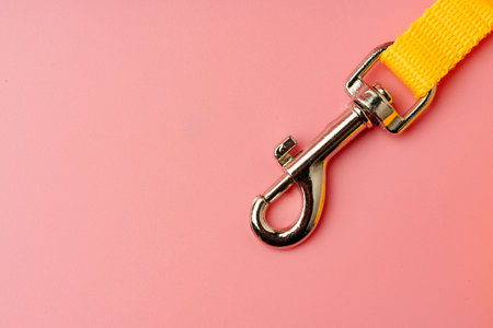 Dog leash with carabiner on pink backgroundの写真素材